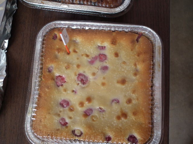 Raspberry Custard Kuchen made by Kaitlyn / Bought By Kenneth 